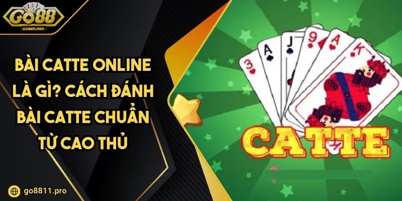 Bài Catte Online Là Gì? Cách Đánh Bài Catte Chuẩn Từ Cao Thủ