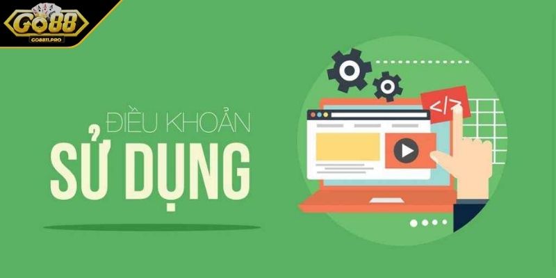 Khái quát thông tin về điều khoản sử dụng